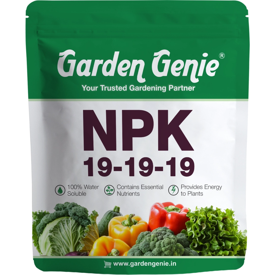 Understanding N-P-K: A Fertilizer Guide